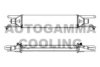 AUTOGAMMA 107309 Intercooler, charger